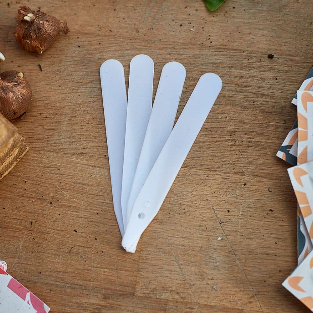 Plansetiker, 13 cm (50 st)